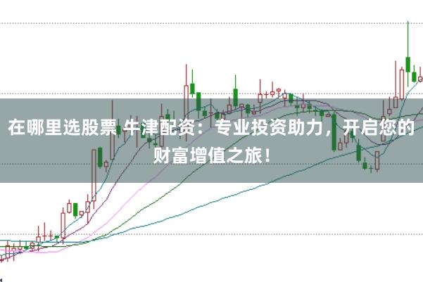 在哪里选股票 牛津配资：专业投资助力，开启您的财富增值之旅！