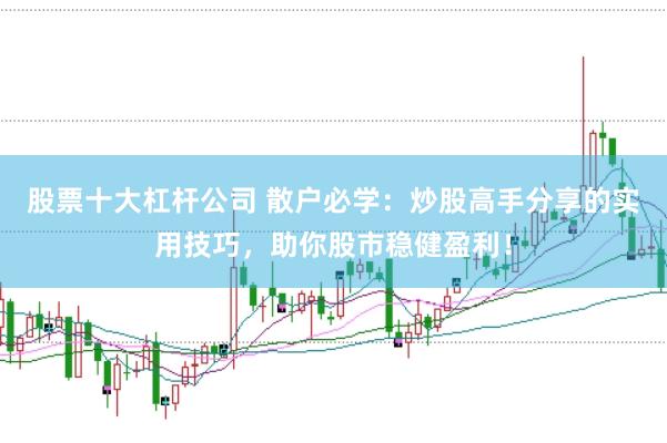股票十大杠杆公司 散户必学：炒股高手分享的实用技巧，助你股市稳健盈利！