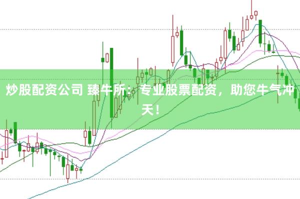 炒股配资公司 臻牛所：专业股票配资，助您牛气冲天！