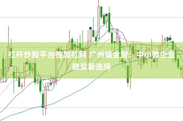 杠杆炒股平台搜加杠网 广州雄金贷：中小微企业融资新选择