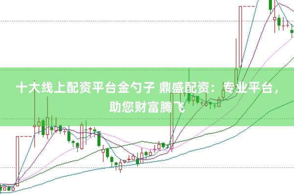 十大线上配资平台金勺子 鼎盛配资：专业平台，助您财富腾飞