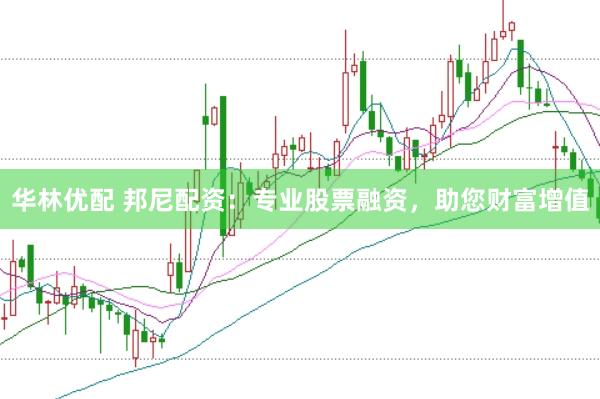 华林优配 邦尼配资：专业股票融资，助您财富增值