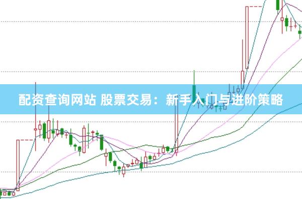 配资查询网站 股票交易：新手入门与进阶策略