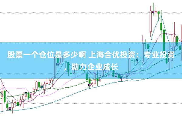股票一个仓位是多少啊 上海合优投资：专业投资，助力企业成长