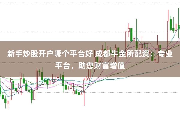 新手炒股开户哪个平台好 成都牛金所配资：专业平台，助您财富增值