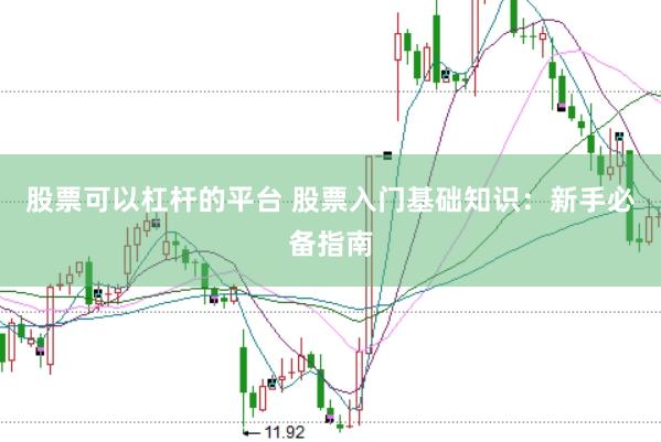 股票可以杠杆的平台 股票入门基础知识：新手必备指南