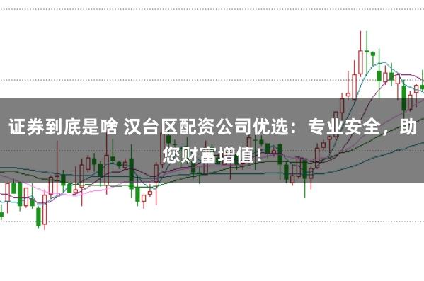 证券到底是啥 汉台区配资公司优选：专业安全，助您财富增值！