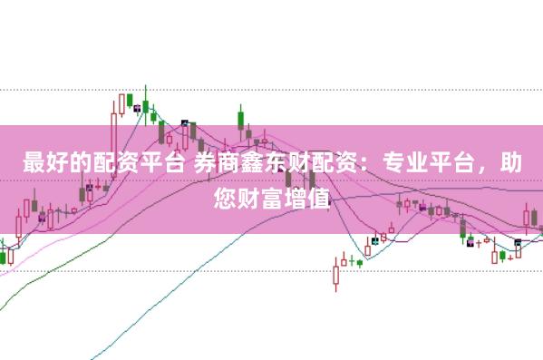 最好的配资平台 券商鑫东财配资：专业平台，助您财富增值