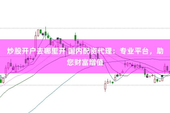 炒股开户去哪里开 国内配资代理：专业平台，助您财富增值