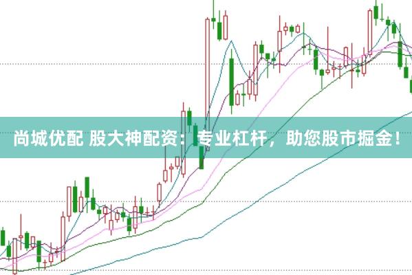 尚城优配 股大神配资：专业杠杆，助您股市掘金！