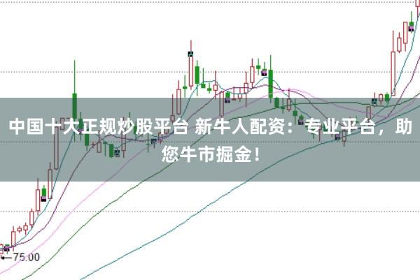 中国十大正规炒股平台 新牛人配资：专业平台，助您牛市掘金！