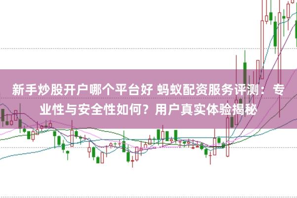 新手炒股开户哪个平台好 蚂蚁配资服务评测：专业性与安全性如何？用户真实体验揭秘