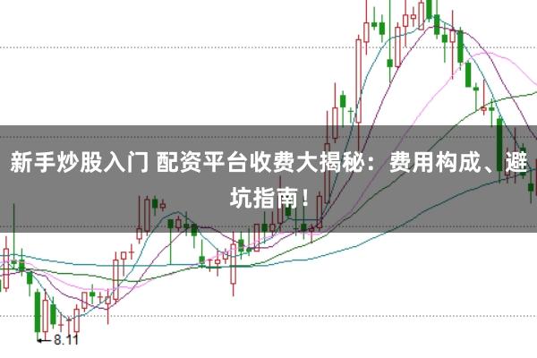 新手炒股入门 配资平台收费大揭秘：费用构成、避坑指南！