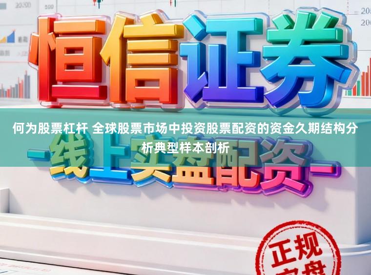 何为股票杠杆 全球股票市场中投资股票配资的资金久期结构分析典型样本剖析