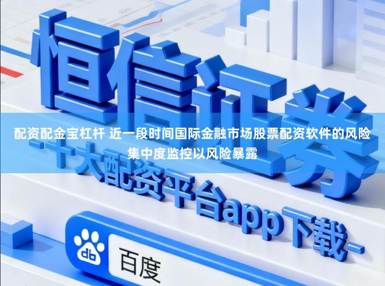配资配金宝杠杆 近一段时间国际金融市场股票配资软件的风险集中度监控以风险暴露